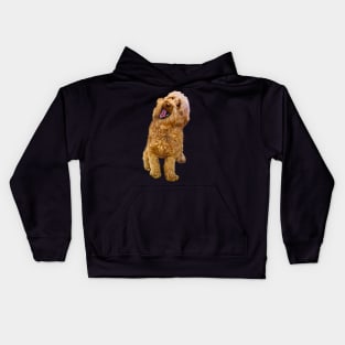 Cavapoo kisses ! Cute Cavapoo Cavoodle puppy dog with open mouth and tongue out - cavalier king charles spaniel poodle, puppy love Kids Hoodie